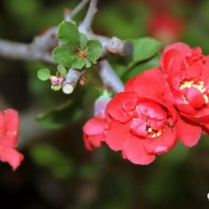 ?xn)|Ļ_(ki)ɺھŌлĹ(ji)ں?xn)|_(ki)Ļ