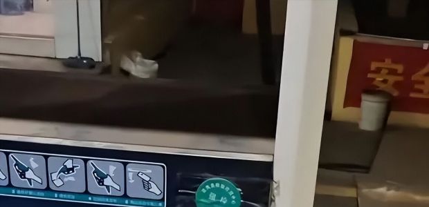 Rһվ߀δ;_ʼӋMˆTBæړĻ