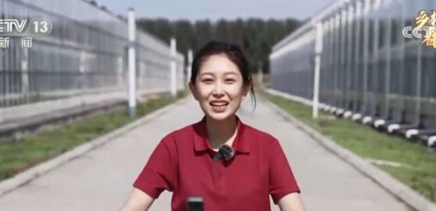 520룡Rʵҕ